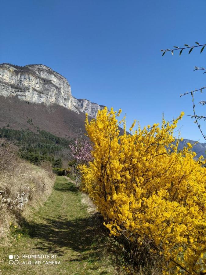 Studio Au Pied De La Montagne Et Vue Imprenable Saint-Alban  Экстерьер фото