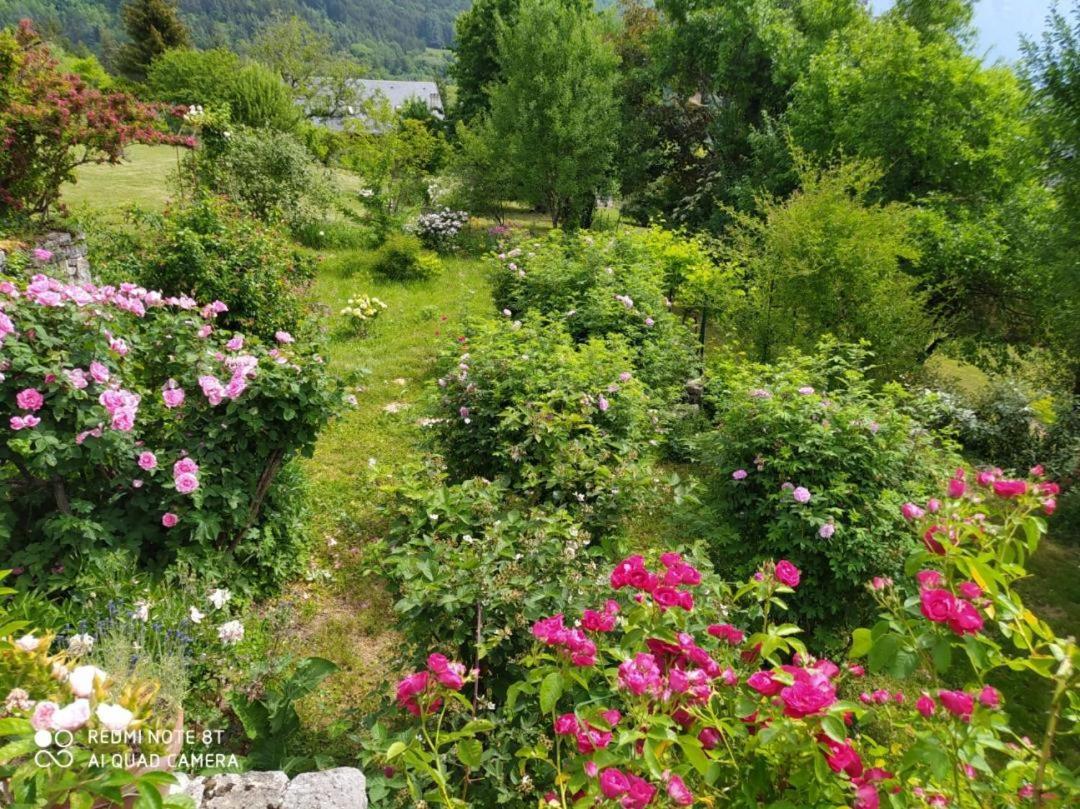 Studio Au Pied De La Montagne Et Vue Imprenable Saint-Alban  Экстерьер фото