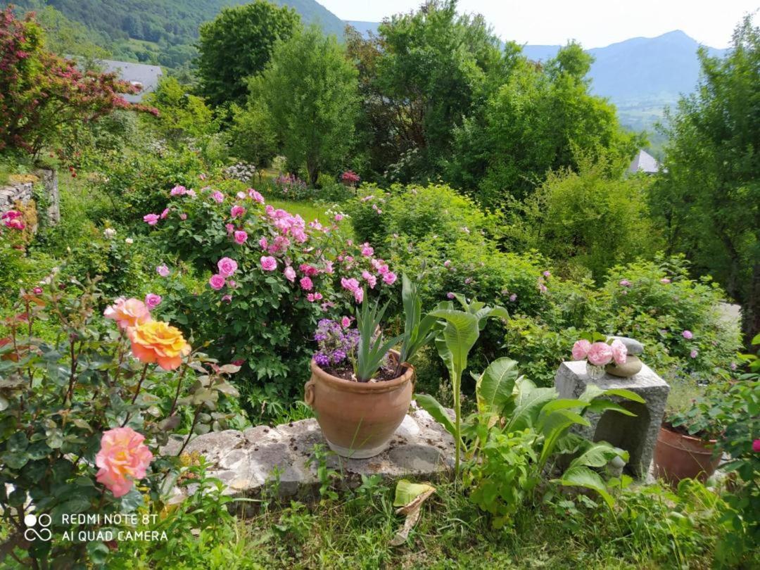 Studio Au Pied De La Montagne Et Vue Imprenable Saint-Alban  Экстерьер фото